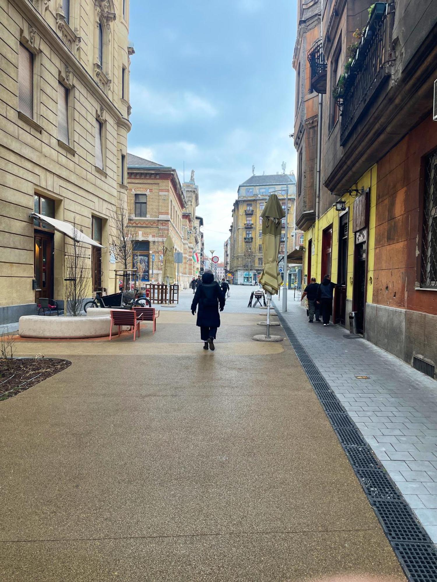 Elegant And Modern In The City Centre Budapest Exterior foto